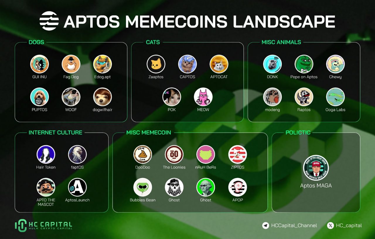 6717ba16361a863363c95b78_6717ba09588d941a61373f2c_apt-meme-landscap