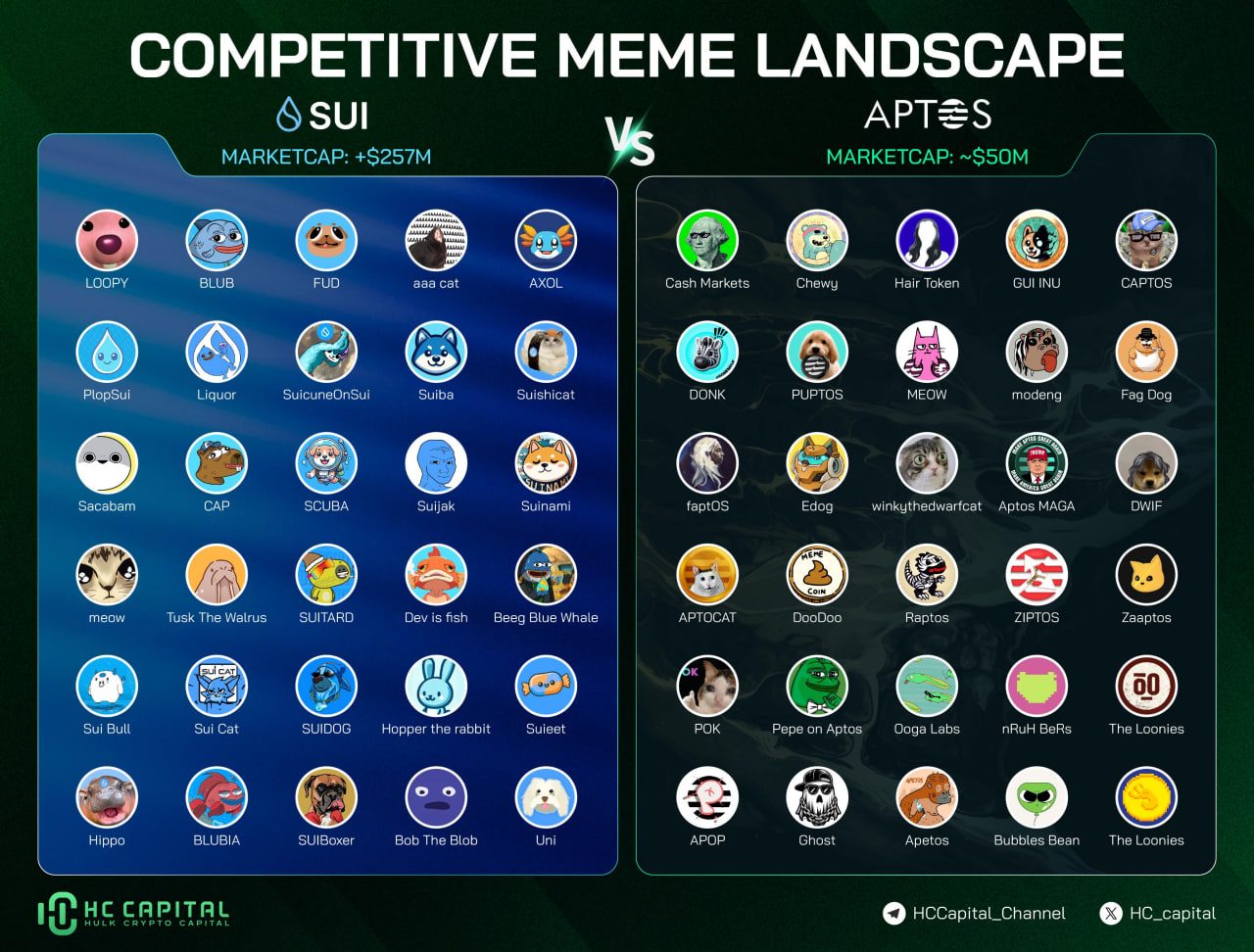 6717ba16361a863363c95b84_6717b9ee385a46591bdcb5f5_sui-vs-apt-meme