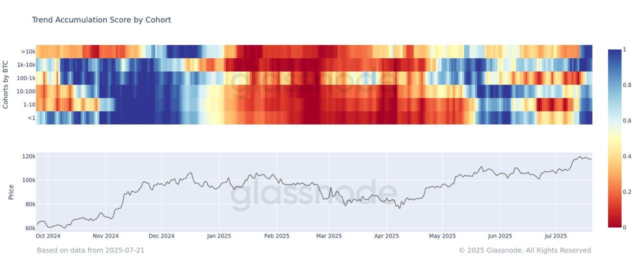 687f9f8d9e5a65c0185bde54_eth-not-a-security-btc-heatmap